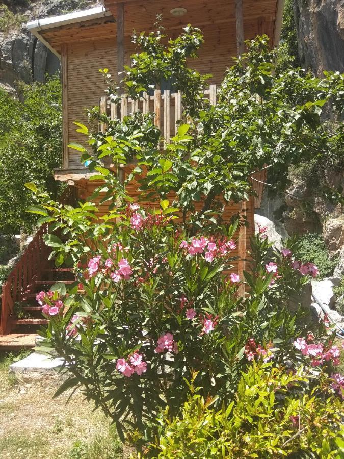 Kapuzbaşı Şelalesi Baştürk dinlenme tesisleri Otel Büyükçakır Dış mekan fotoğraf